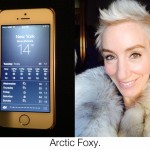 Getting My Winter On