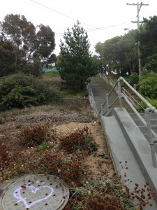 Part of my morning commute: The Quintara steps, Golden Gate Heights.